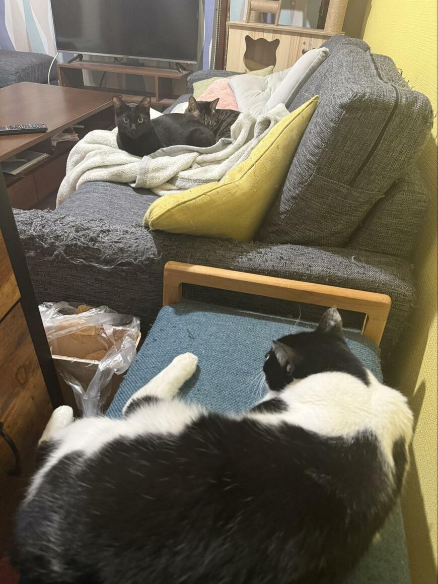 出所：@00shitemita