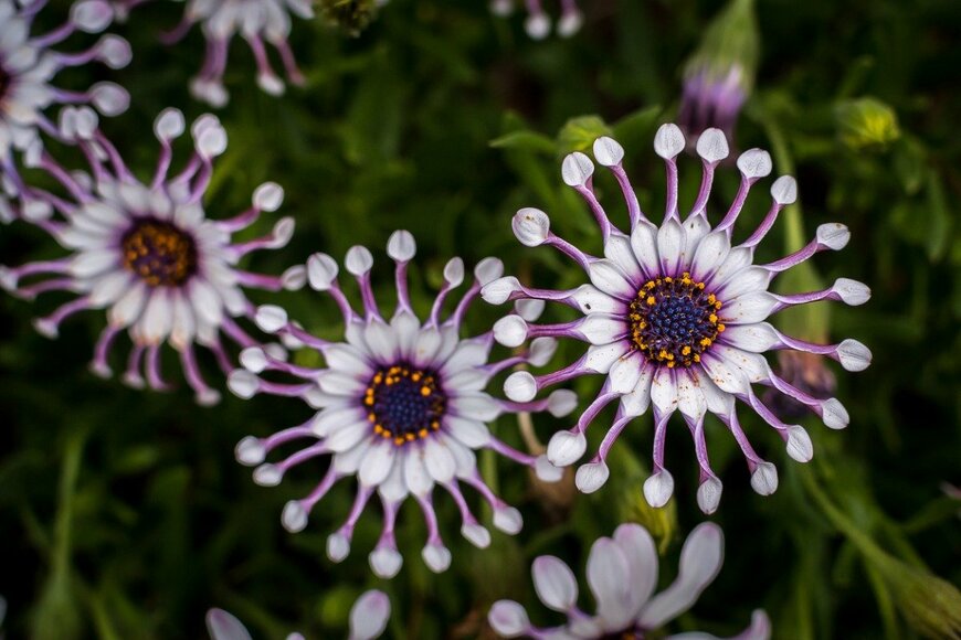 Skapie777/istockphoto.com