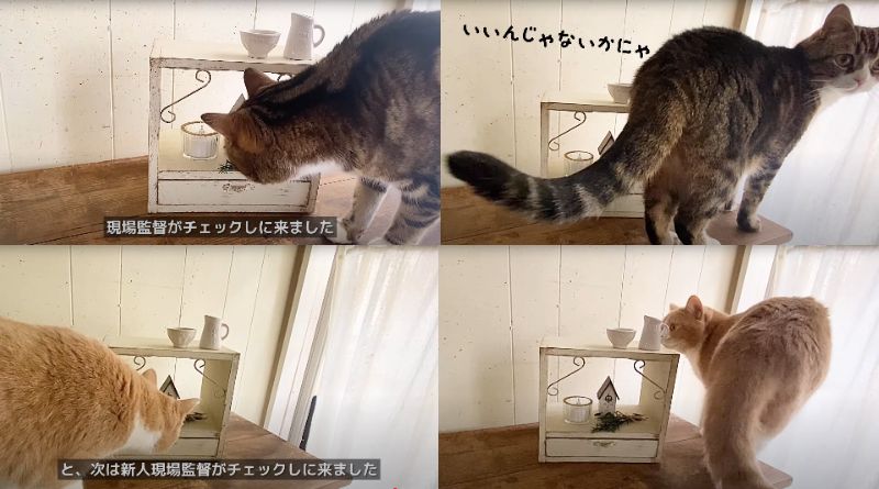 出所：@miwagonchi