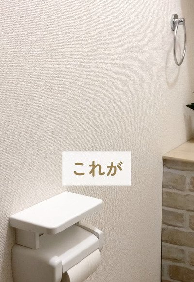 【100均DIY】雰囲気に合わない築25年賃貸の〈タオルやペーパーホルダー〉。セリアのアイテムを手軽に活用し、トイレをナチュラルでおしゃれに似合わせる実用的なアイデア