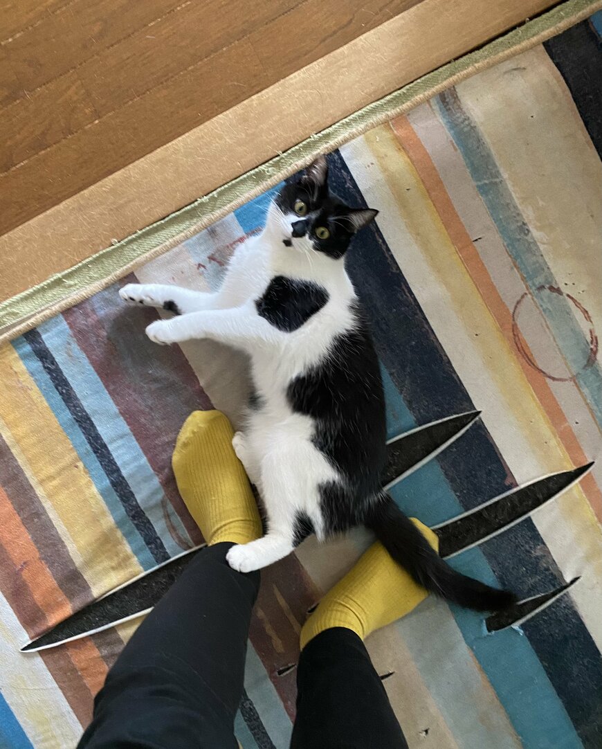 出所：@00shitemita