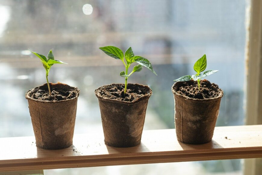 Tatiana Malkova/istockphoto.com