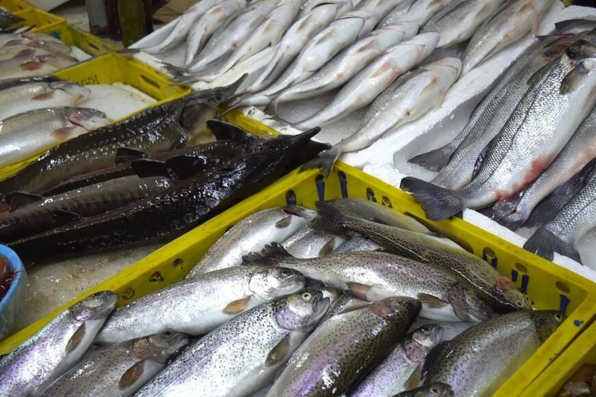 岩手県の鮮魚店で売られていた「巨大な魚」に目を疑う　まさかの価格に「0が2個消えた…？」「安いことだけはわかる」