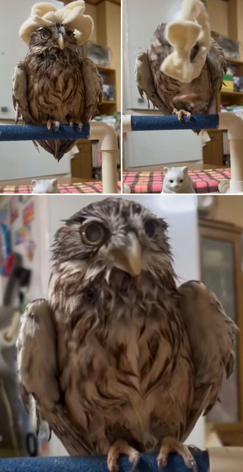 出所：@cr8673.hiro