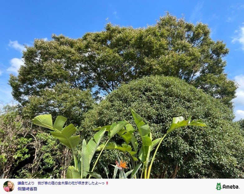 出所：假屋崎省吾のAmebaブログ 参照日：2025年10月8日