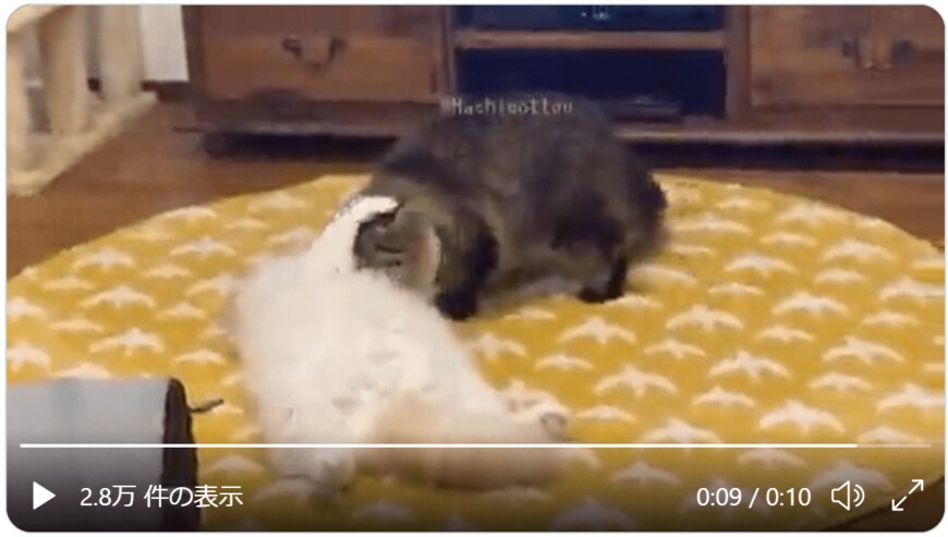 出所：ぽてねのアポロ@Hachicotton