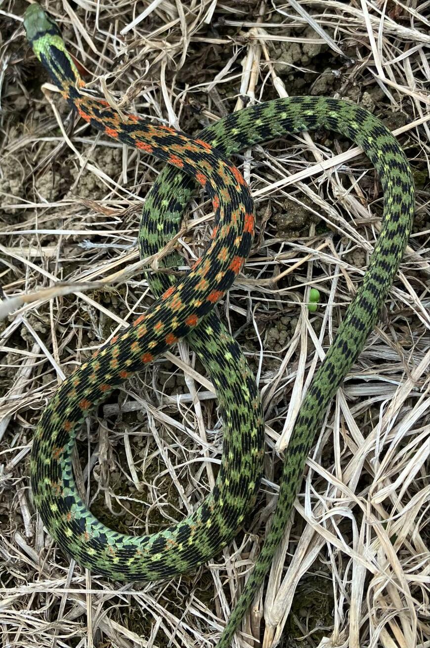 出所：@GtYb1nWNyK1W1m5