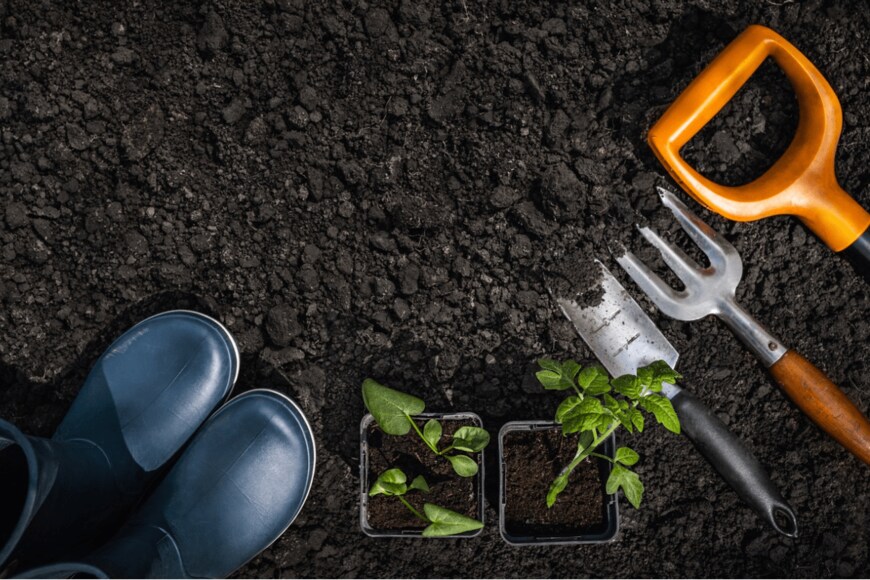 mel-nik/istockphoto.com