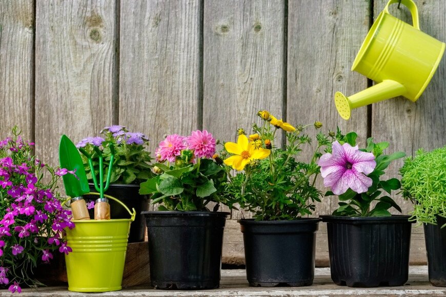 ChamilleWhite/istockphoto.com