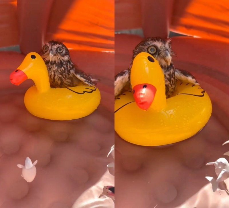 投稿動画のワンシーン