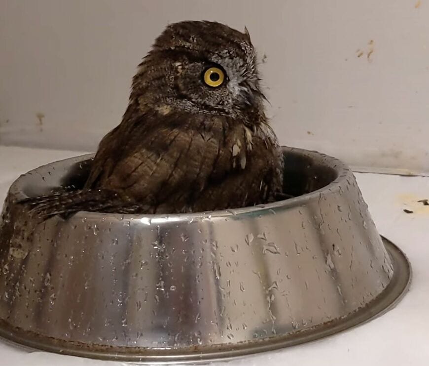 投稿動画のワンシーン