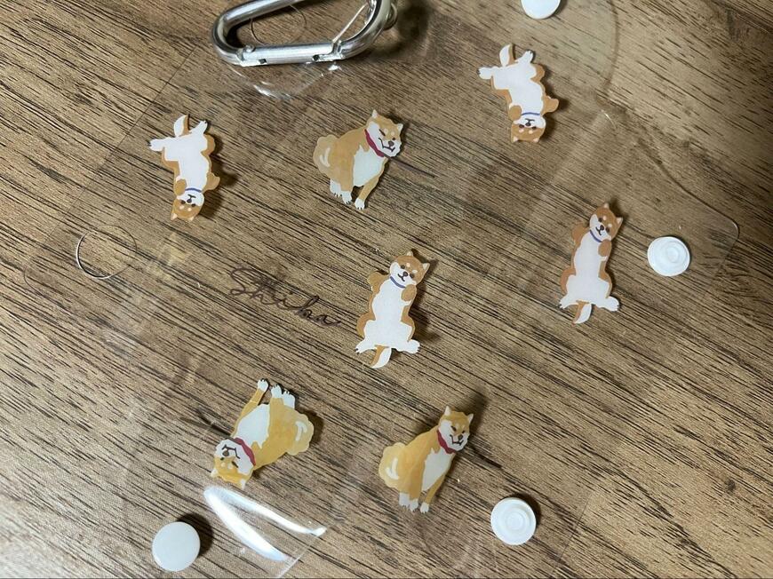 セリア、犬柄 マルチケース カラビナ付き商品画像