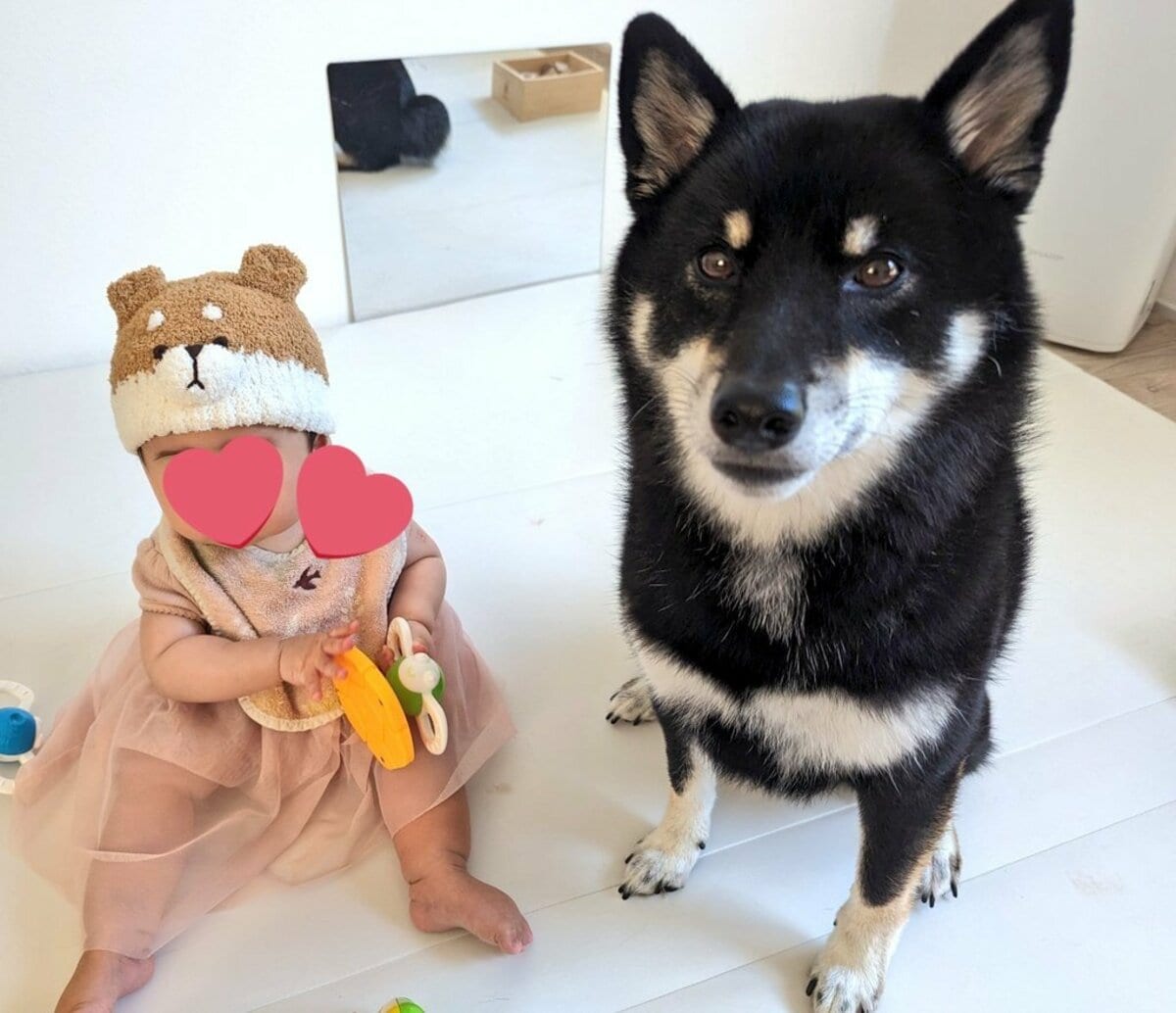 img_0618541c70f98fc686544e1ddc