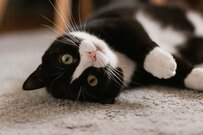 【老後の年金】国民年金だけなら月額平均いくら？厚生年金がある場合は「約14.6万円」