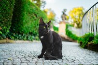 厚生年金・国民年金【年金早見表】いまどき60歳～90歳以上は平均でいくらもらっている？