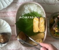 料理初心者が作る「ナスロール弁当」が美味しそう！コメント欄「品数豊富ですごい」の声