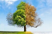 厚生年金は平均14万円も、鵜呑みにすると痛い目に!?【グラフで見る】年金制度の盲点＆老後のピンキリ事情