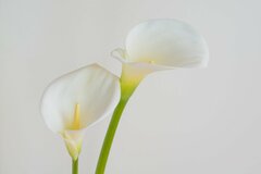 【年金一覧表】今の「60歳～90歳以上」は受給額がいくらか1歳刻みであなたもチェック