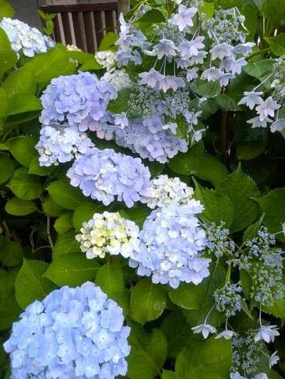 Iさん撮影