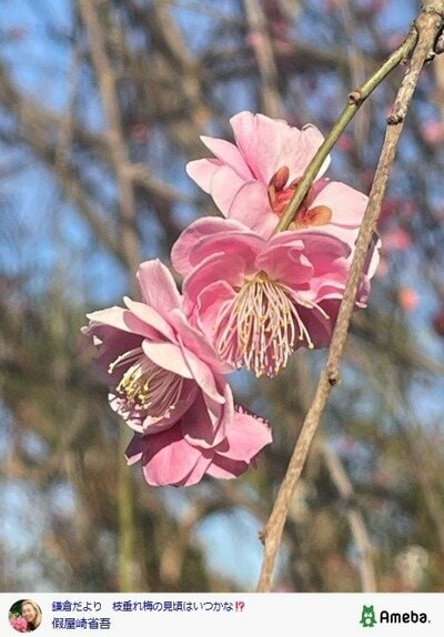 假屋崎省吾の公式ブログ投稿