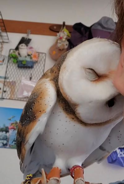 投稿動画のワンシーン