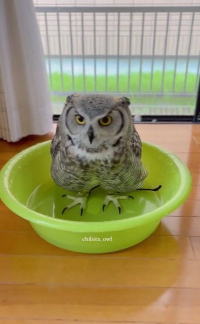 投稿動画のワンシーン
