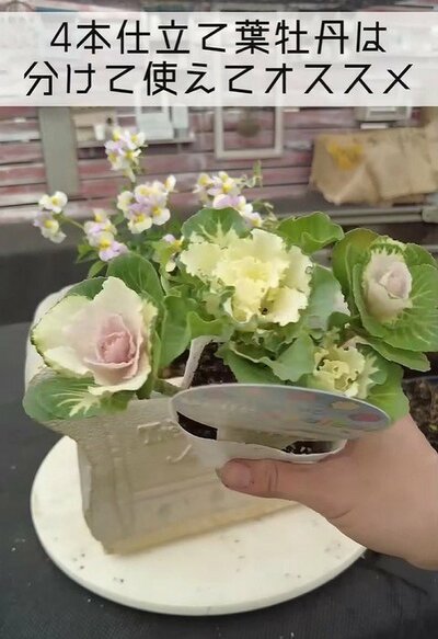 プチ・フルール（@petit_fleur）さん投稿動画のキャプチャ 