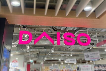 知る人ぞ知る隠れた名品！サイズも形も選ばない！いろいろなサイズの植木鉢に使えるダイソー「プラ鉢置台」が優秀すぎた