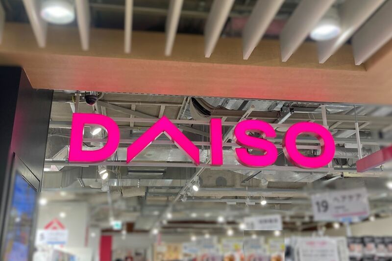 鉢底石いらずで植え替えがラクになる！？進化したダイソー「鉢底ネット8cm」が優秀すぎました。6個入り110円の高コスパ！