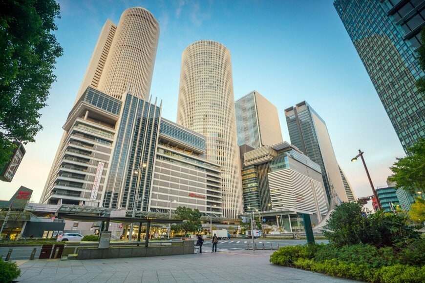 名古屋の歩道で発見された「よく分からない生態系」が話題　謎が多い光景に「小さき者達の憩いの場」