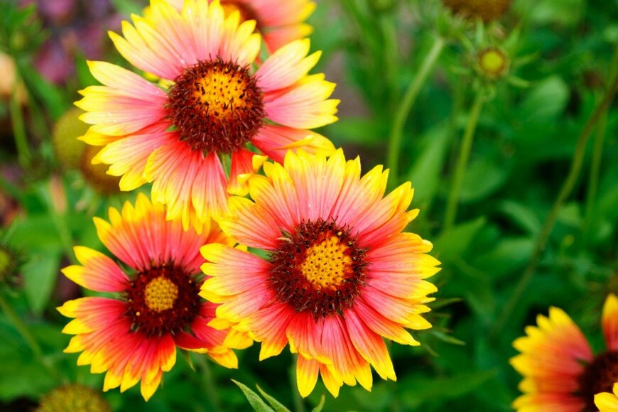 delobol/istockphoto.com