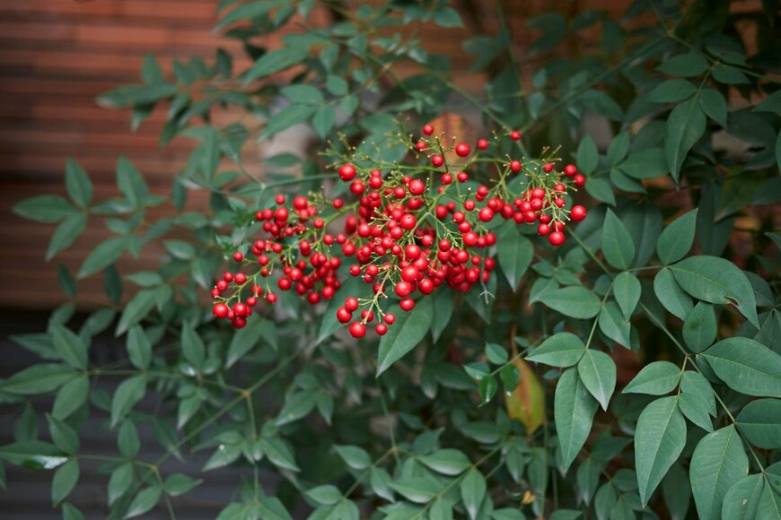 simona pavan/shutterstock.com