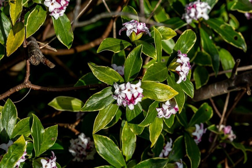 Lemanieh/istockphoto.com