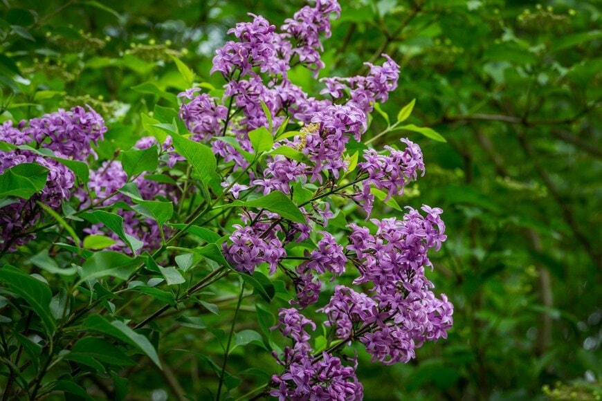 Marina Denisenko/istockphoto.com