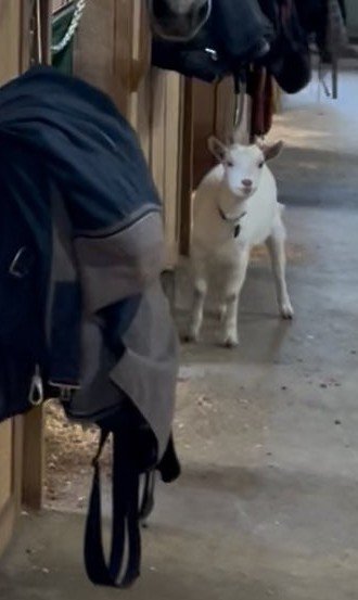 出所：@horse_value