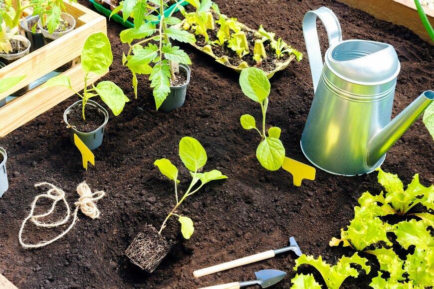 nieriss/Shutterstock.com