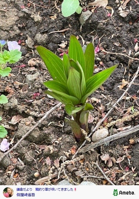 出所：假屋崎省吾の公式ブログ　参照日：2026年4月15日
