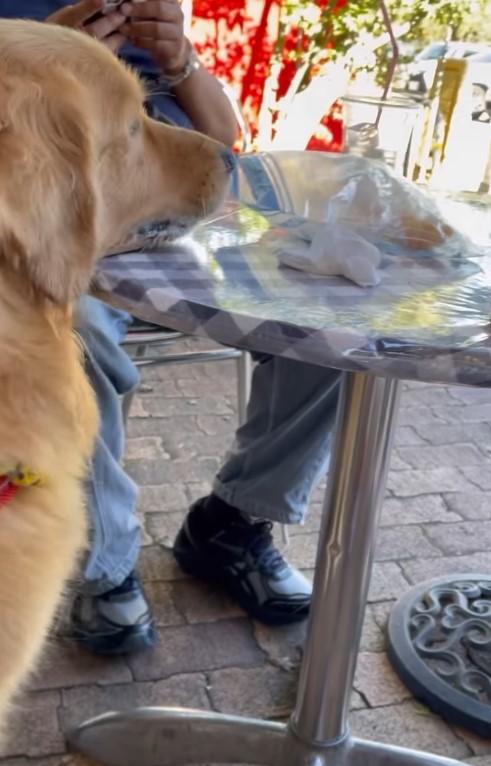 出所：goldenuzboy