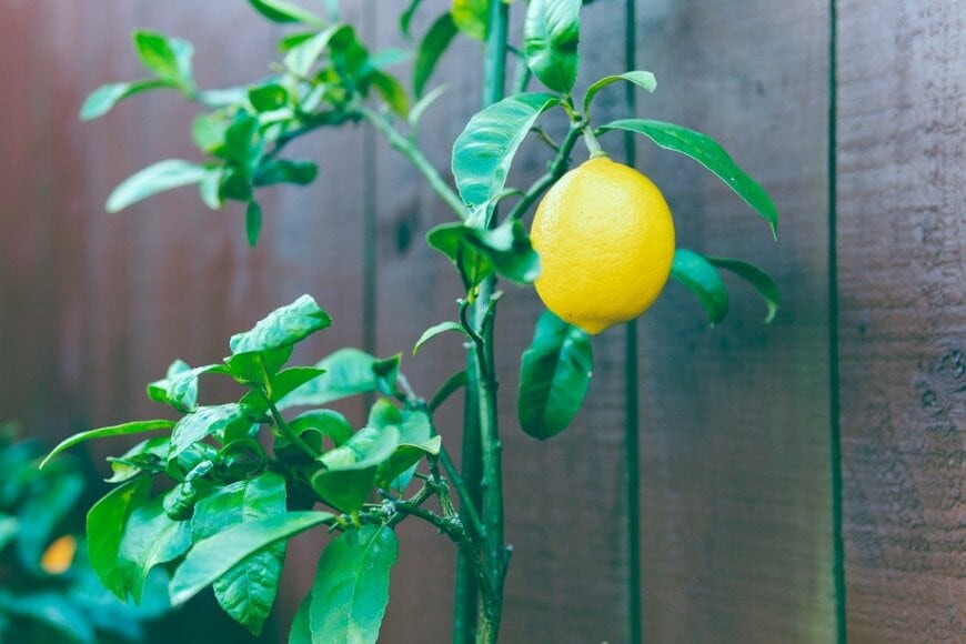 kaz_c/istockphoto.com