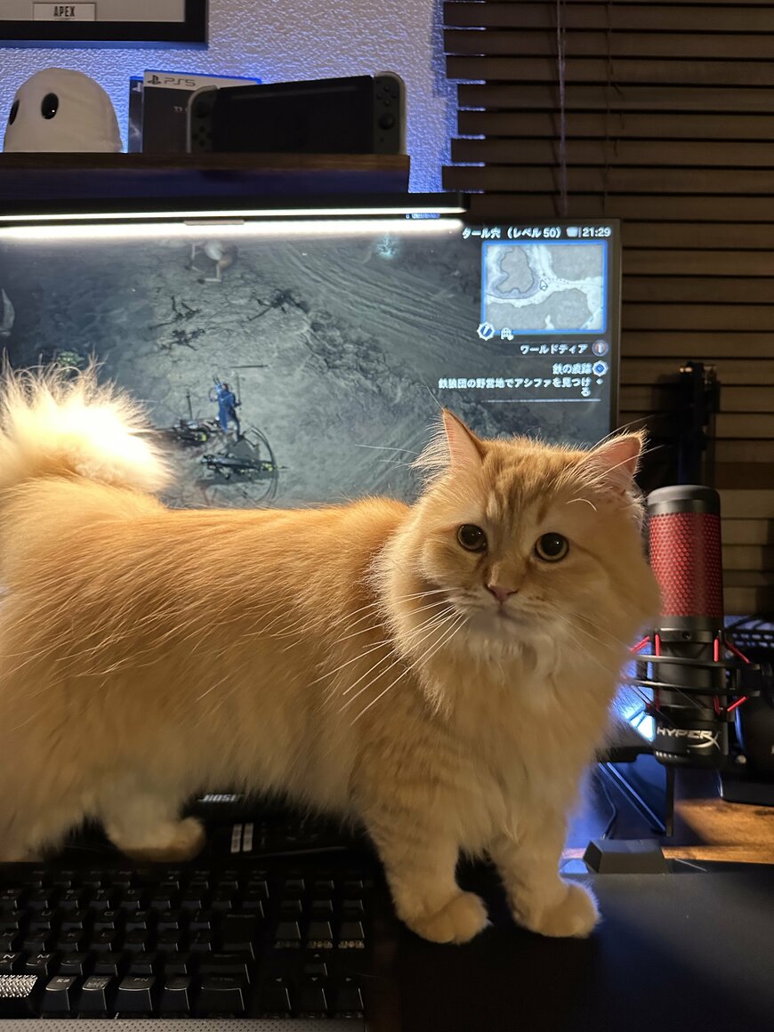 出所：@NEKOLAND13