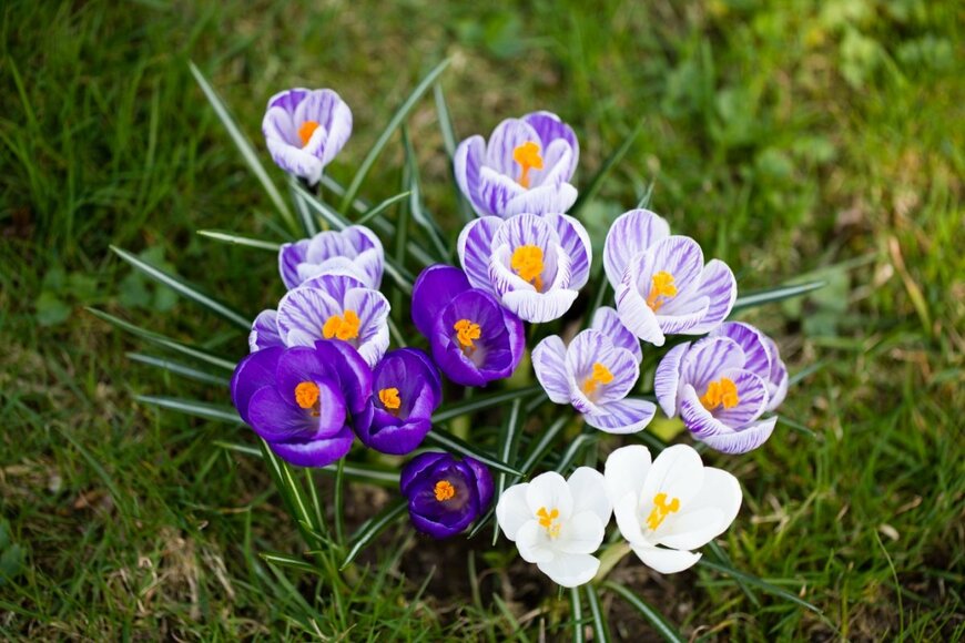 Pedal to the Stock/shutterstock.com