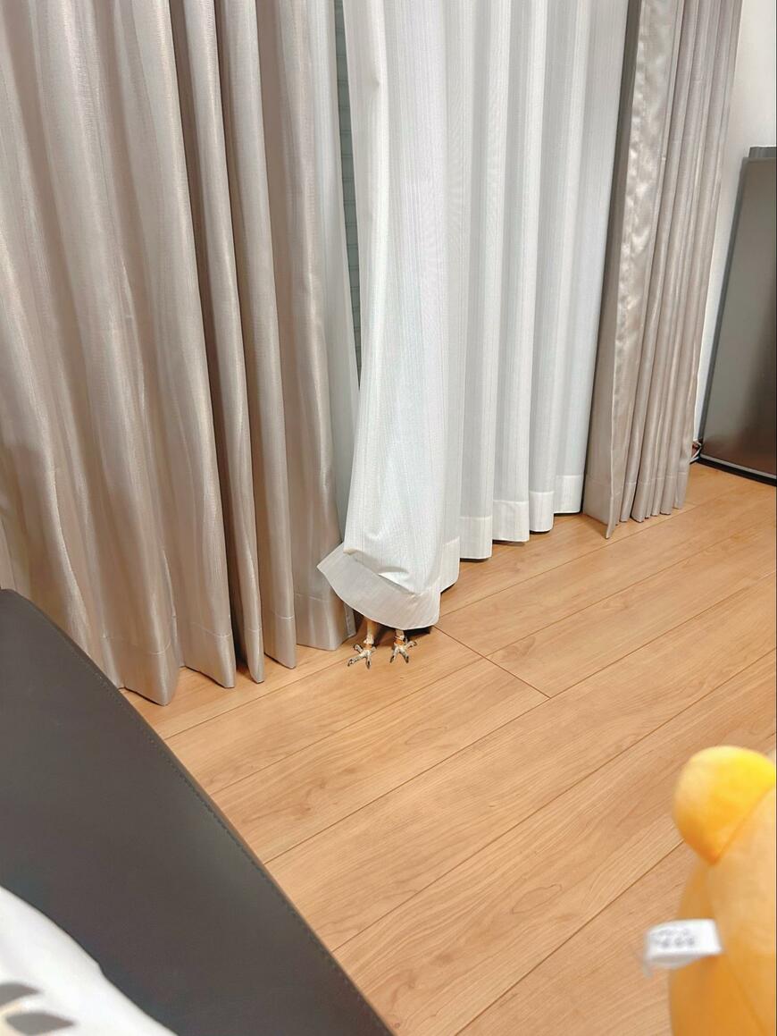 出所：@kanata_akas