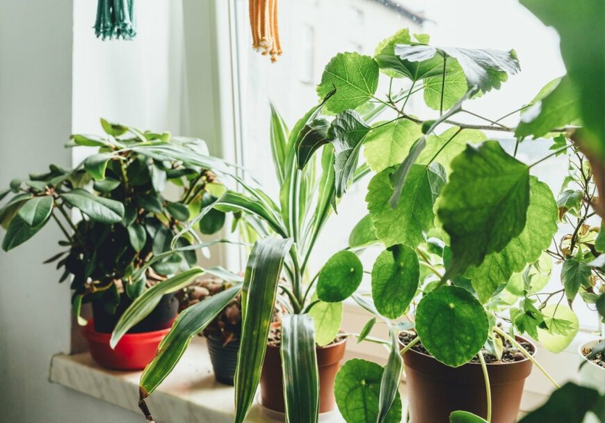 Chekyravaa/shutterstock.com