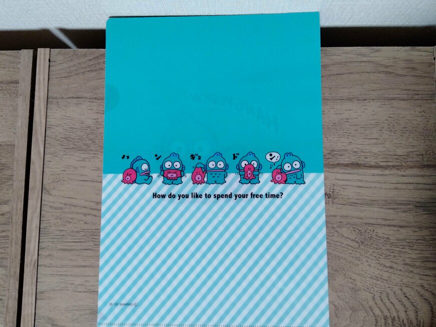 筆者撮影（セリア、A4クリアファイル H/G ポップ）