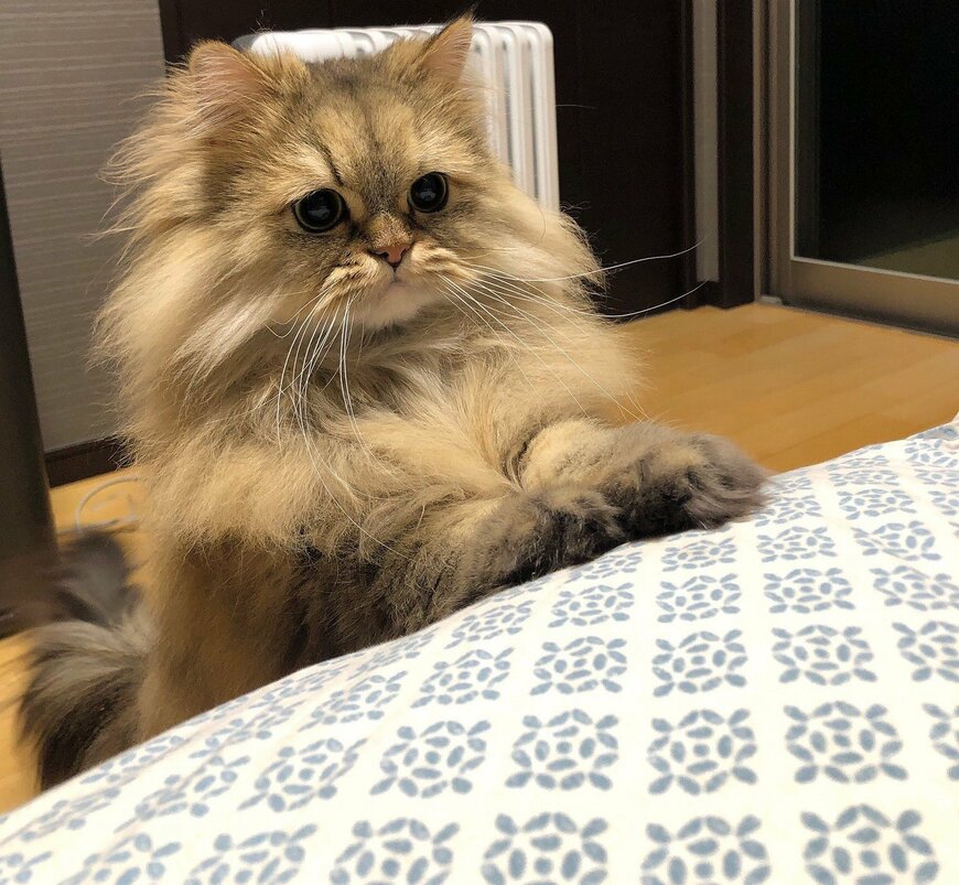 出所：@UphQepCv8J