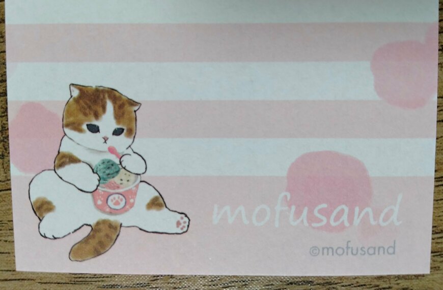 筆者撮影（セリア、mofusand ミニメモ帳（全2種））