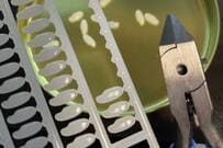 「これは修行」　極小米粒パーツで作る「おにぎりのプラモデル」に思わず目を疑う