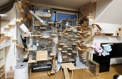 高齢のシマリスのために「無限城」を制作 巨大アスレチックのような出来栄えに圧倒される！