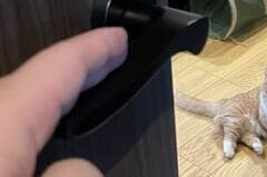 外出前にドアの隙間から感じる「猫の視線」　この面持ちは出かけづらい…