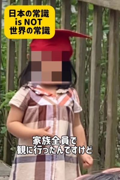 投稿動画のワンシーン